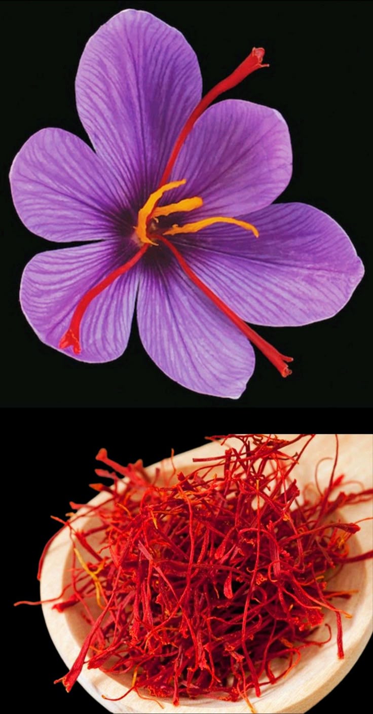 Saffron Irani 1 gm