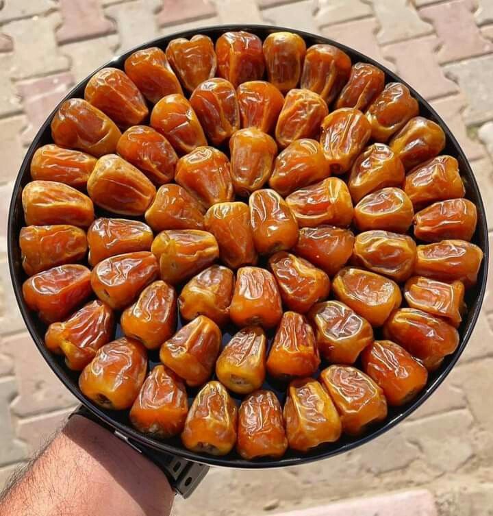Premium Saudi Sukri Dates