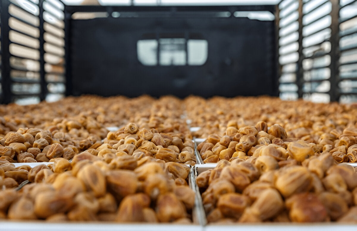 Premium Saudi Sukri Dates