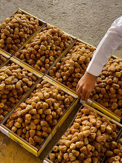 Premium Saudi Sukri Dates