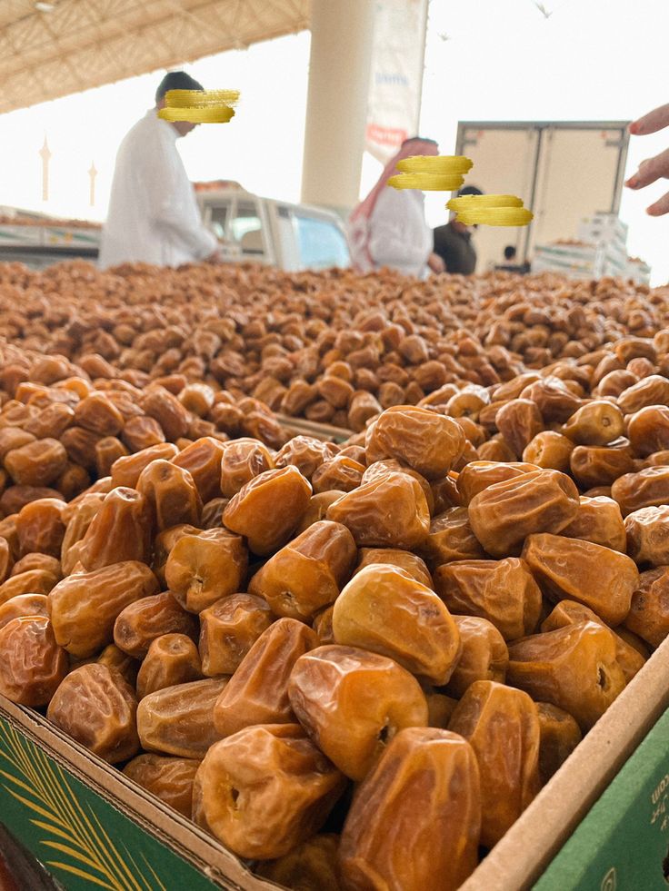 Premium Saudi Sukri Dates